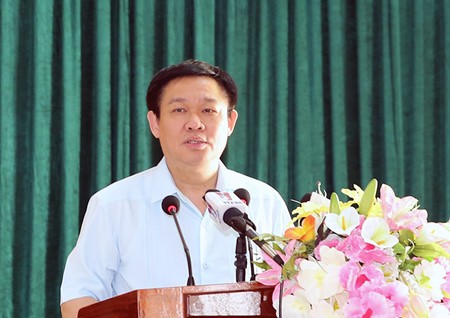 Deputy PM urges further socio-economic development of south-western region   - ảnh 1